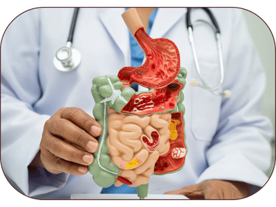 Digestive Disorders Ayurvedic Treatment in Amritsar