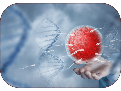 Male Infertility Ayurvedic Treatment in Amritsar